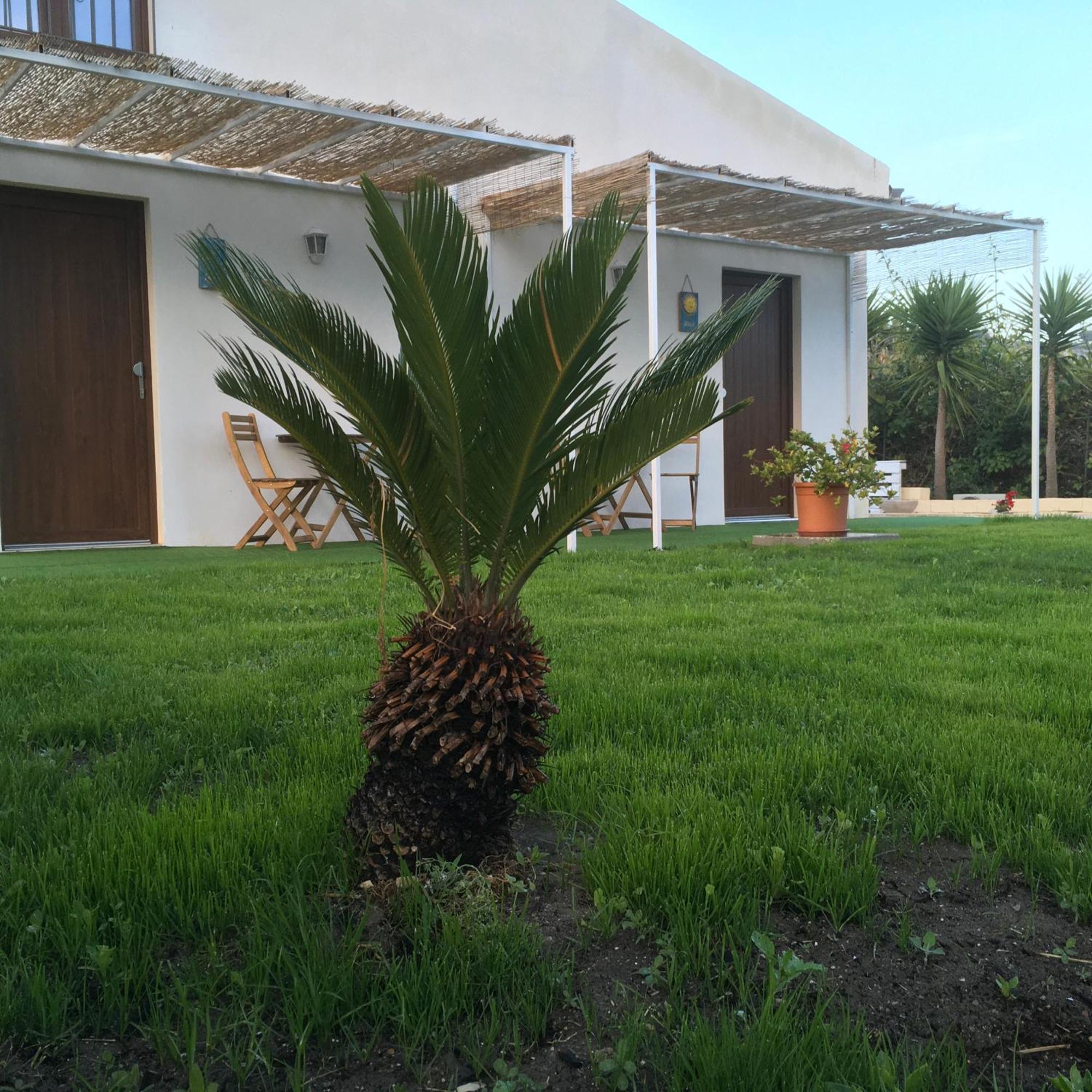 Agriturismo Adenzia Порто Емпедокле Екстериор снимка